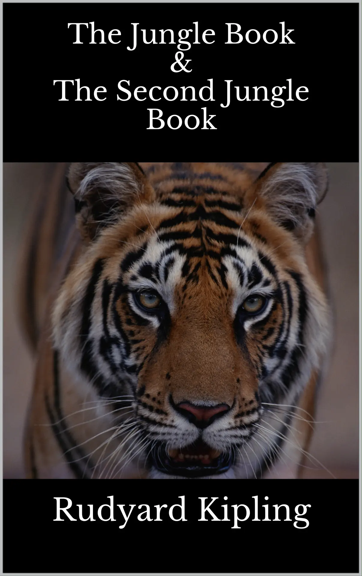 The Jungle Book (Wordsworth Collector’s Editions) – RudyardKipling