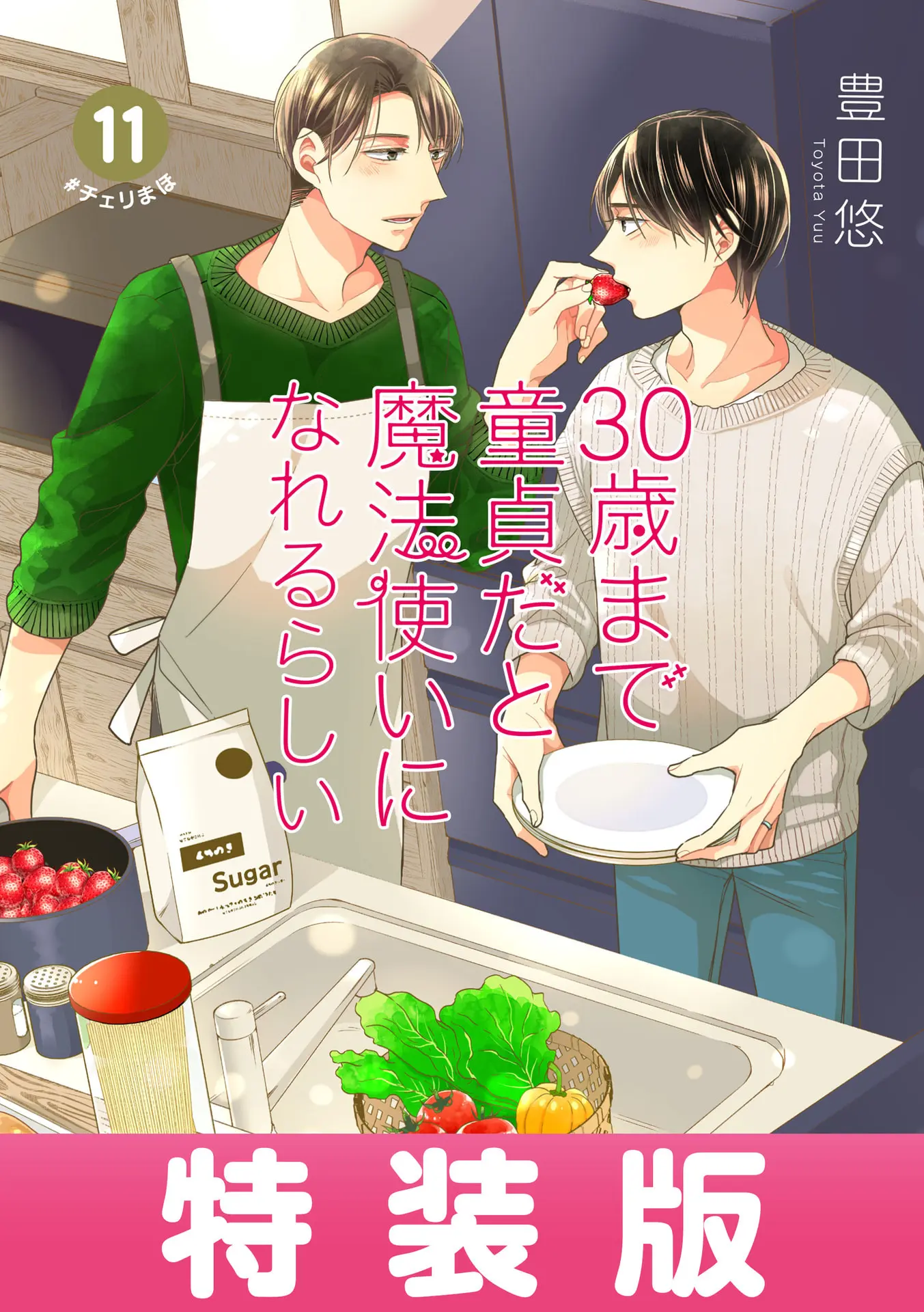 30歳まで童貞だと魔法使いになれるらしい 11巻特装版 純愛(ピュアラブ)Wedding After Party-Just married-小冊子付き【デジタル版限定特典付き】 (デジタル版ガンガンコミックスpixiv) – 豊田悠 30歳まで童貞だと魔法使いになれるらしい 11巻特装版 純愛(ピュアラブ)Wedding After Party-Just married-小冊子付き【デジタル版限定特典付き】 (デジタル版ガンガンコミックスpixiv) – 豊田悠